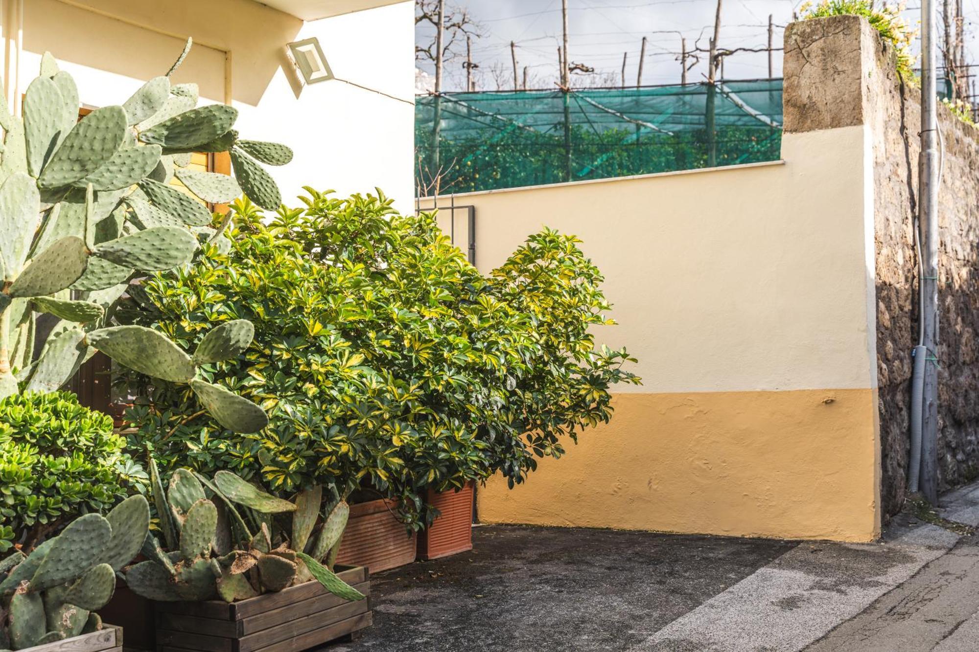 Sorrento Central Flat Εξωτερικό φωτογραφία